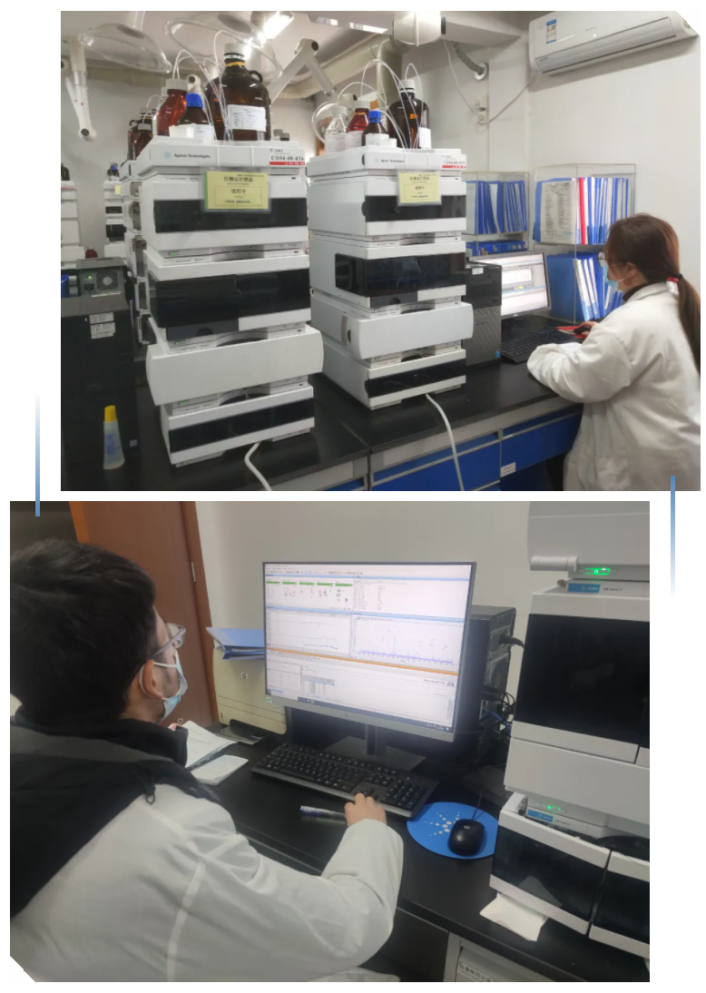 尊龙凯时人生就是搏(中国区)官方网站